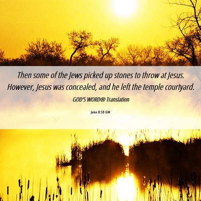 Picture 06 - John 8:59 GW - Then some of the Jews picked up stones to throw - Bible Verse Picture