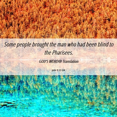 Picture 06 - John 9:13 GW - Some people brought the man who had been blind to - Bible Verse Picture