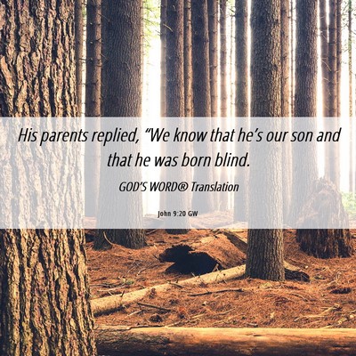 Picture 06 - John 9:20 GW - His parents replied, “We know that he’s our - Bible Verse Picture