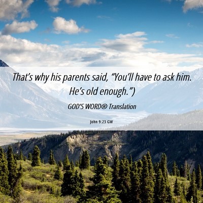 Picture 06 - John 9:23 GW - That’s why his parents said, “You’ll have - Bible Verse Picture