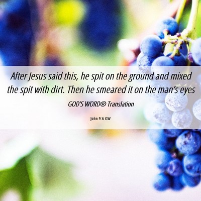 Picture 06 - John 9:6 GW - After Jesus said this, he spit on the ground and - Bible Verse Picture