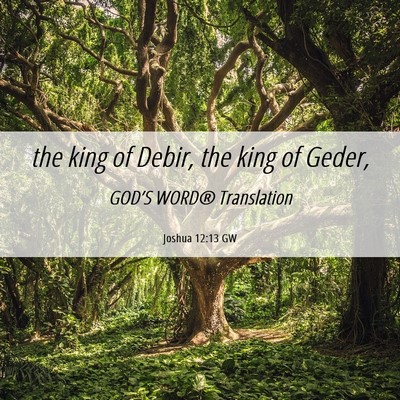 Picture 06 - Joshua 12:13 GW - the king of Debir, the king of - Bible Verse Picture