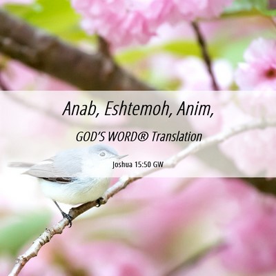 Picture 06 - Joshua 15:50 GW - Anab, Eshtemoh, - Bible Verse Picture