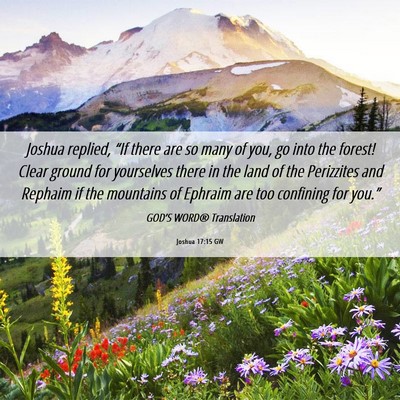 Picture 06 - Joshua 17:15 GW - Joshua replied, “If there are so many of you, - Bible Verse Picture