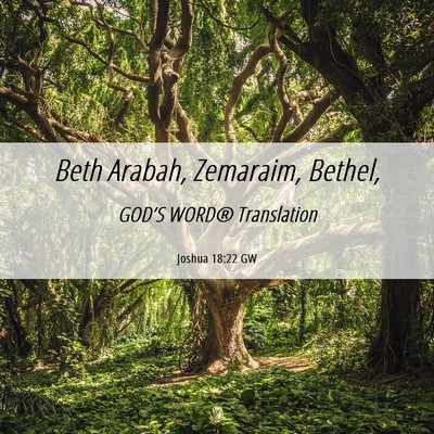 Picture 06 - Joshua 18:22 GW - Beth Arabah, Zemaraim, - Bible Verse Picture