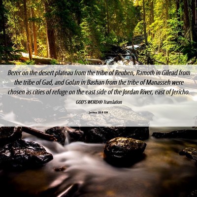 Picture 06 - Joshua 20:8 GW - Bezer on the desert plateau from the tribe of - Bible Verse Picture