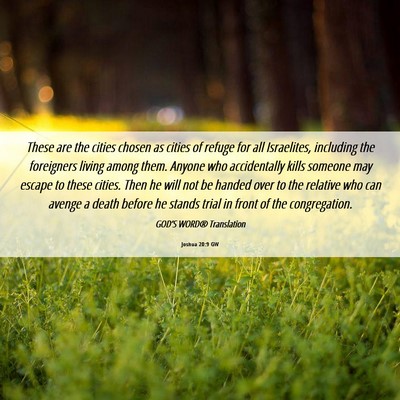 Picture 06 - Joshua 20:9 GW - These are the cities chosen as cities of refuge - Bible Verse Picture