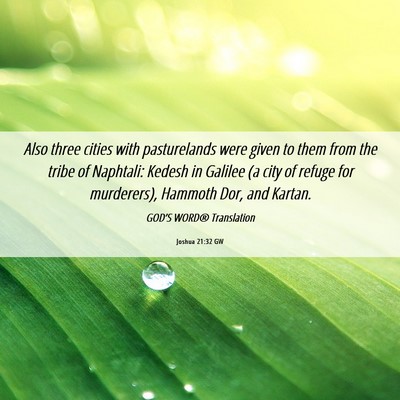 Picture 06 - Joshua 21:32 GW - Also three cities with pasturelands were given to - Bible Verse Picture