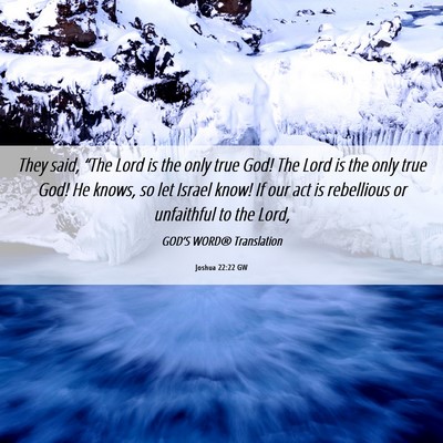 Picture 06 - Joshua 22:22 GW - They said, “The Lord is the only true God! The - Bible Verse Picture