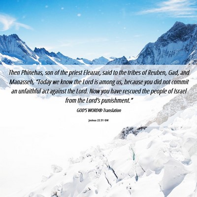 Picture 06 - Joshua 22:31 GW - Then Phinehas, son of the priest Eleazar, said to - Bible Verse Picture