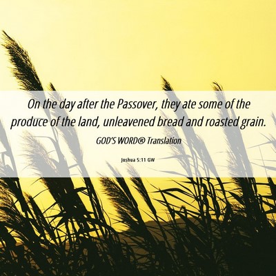 Picture 06 - Joshua 5:11 GW - On the day after the Passover, they ate some of - Bible Verse Picture