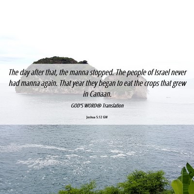Picture 06 - Joshua 5:12 GW - The day after that, the manna stopped. The people - Bible Verse Picture