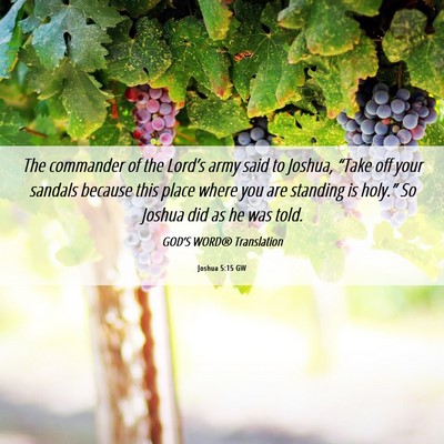 Picture 06 - Joshua 5:15 GW - The commander of the Lord’s army said to - Bible Verse Picture