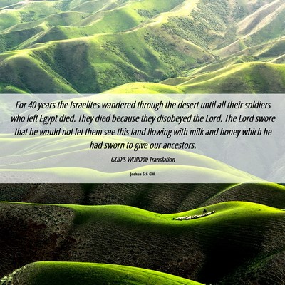 Picture 06 - Joshua 5:6 GW - For 40 years the Israelites wandered through the - Bible Verse Picture