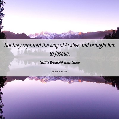 Picture 06 - Joshua 8:23 GW - But they captured the king of Ai alive and - Bible Verse Picture