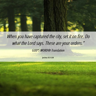 Picture 06 - Joshua 8:8 GW - When you have captured the city, set it on fire. - Bible Verse Picture