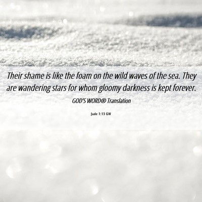 Picture 06 - Jude 1:13 GW - Their shame is like the foam on the wild waves of - Bible Verse Picture