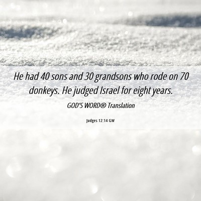 Picture 06 - Judges 12:14 GW - He had 40 sons and 30 grandsons who rode on 70 - Bible Verse Picture
