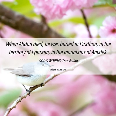 Picture 06 - Judges 12:15 GW - When Abdon died, he was buried in Pirathon, in - Bible Verse Picture