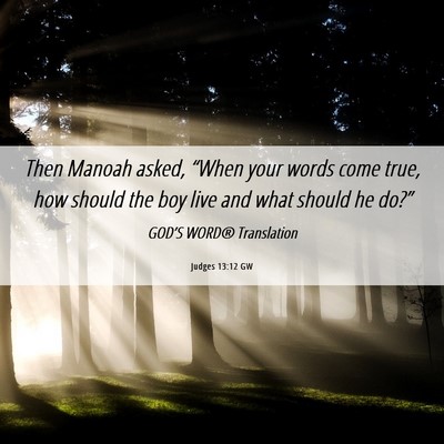 Picture 06 - Judges 13:12 GW - Then Manoah asked, “When your words come true, - Bible Verse Picture