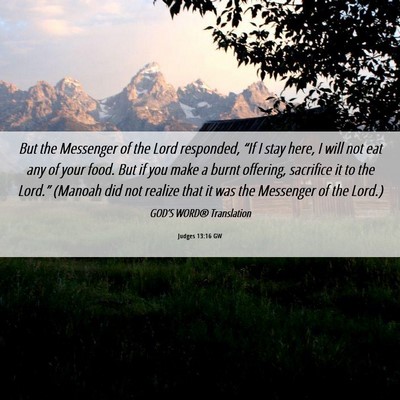 Picture 06 - Judges 13:16 GW - But the Messenger of the Lord responded, “If I - Bible Verse Picture