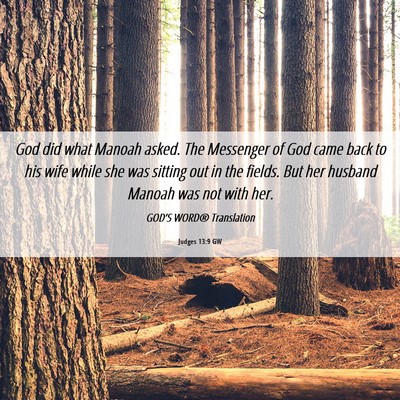 Picture 06 - Judges 13:9 GW - God did what Manoah asked. The Messenger of God - Bible Verse Picture