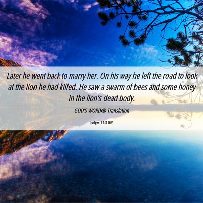 Picture 06 - Judges 14:8 GW - Later he went back to marry her. On his way he - Bible Verse Picture