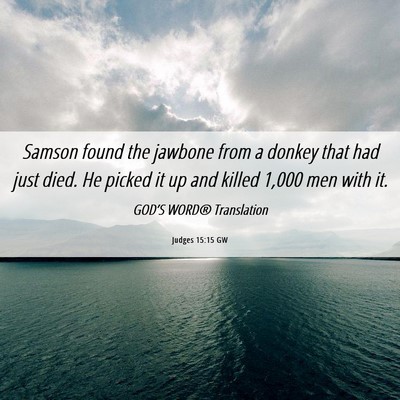 Picture 06 - Judges 15:15 GW - Samson found the jawbone from a donkey that had - Bible Verse Picture