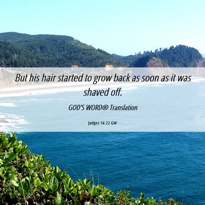Picture 06 - Judges 16:22 GW - But his hair started to grow back as soon as it - Bible Verse Picture