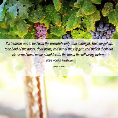 Picture 06 - Judges 16:3 GW - But Samson was in bed with the prostitute only - Bible Verse Picture