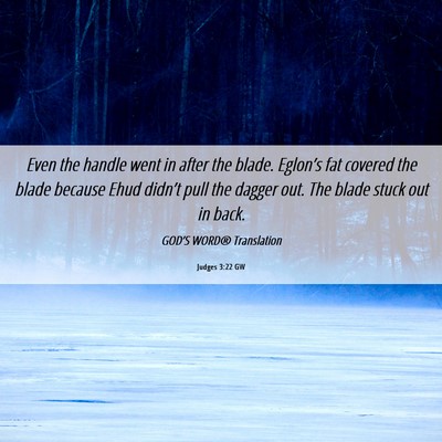 Picture 06 - Judges 3:22 GW - Even the handle went in after the blade. - Bible Verse Picture