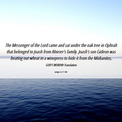Picture 06 - Judges 6:11 GW - The Messenger of the Lord came and sat under the - Bible Verse Picture