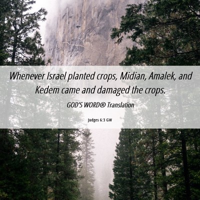 Picture 06 - Judges 6:3 GW - Whenever Israel planted crops, Midian, Amalek, - Bible Verse Picture
