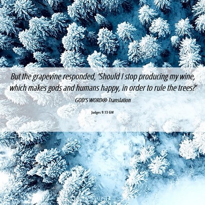Picture 06 - Judges 9:13 GW - But the grapevine responded, ‘Should I stop - Bible Verse Picture