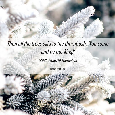 Picture 06 - Judges 9:14 GW - Then all the trees said to the thornbush, ‘You - Bible Verse Picture