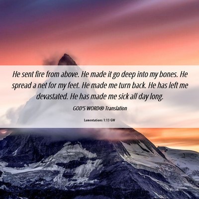 Picture 06 - Lamentations 1:13 GW - He sent fire from above. He made it go deep into - Bible Verse Picture