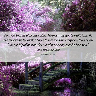 Picture 06 - Lamentations 1:16 GW - I’m crying because of all these things. My - Bible Verse Picture