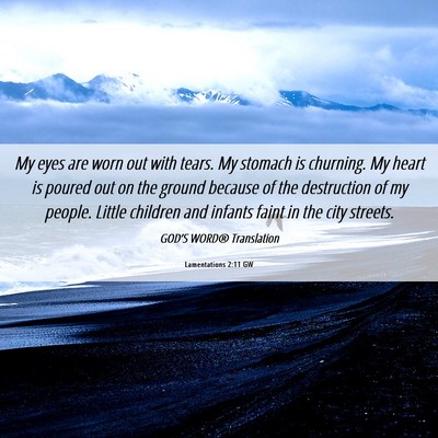 Picture 06 - Lamentations 2:11 GW - My eyes are worn out with tears. My stomach is - Bible Verse Picture