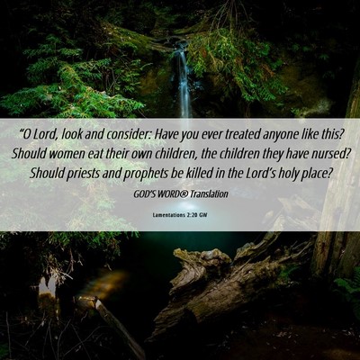 Picture 06 - Lamentations 2:20 GW - “O Lord, look and consider: Have you ever - Bible Verse Picture