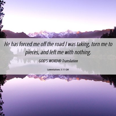 Picture 06 - Lamentations 3:11 GW - He has forced me off the road I was taking, torn - Bible Verse Picture