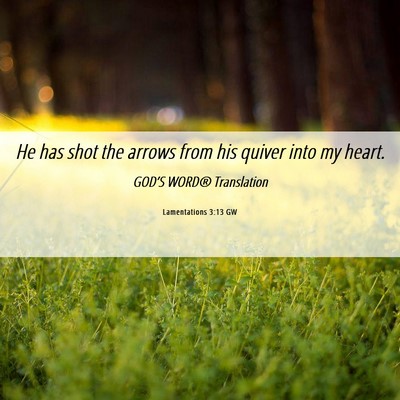Picture 06 - Lamentations 3:13 GW - He has shot the arrows from his quiver into my - Bible Verse Picture