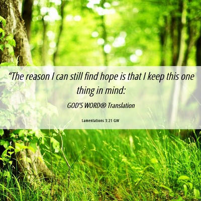 Picture 06 - Lamentations 3:21 GW - “The reason I can still find hope is that I - Bible Verse Picture