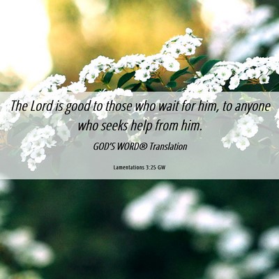 Picture 06 - Lamentations 3:25 GW - The Lord is good to those who wait for him, to - Bible Verse Picture
