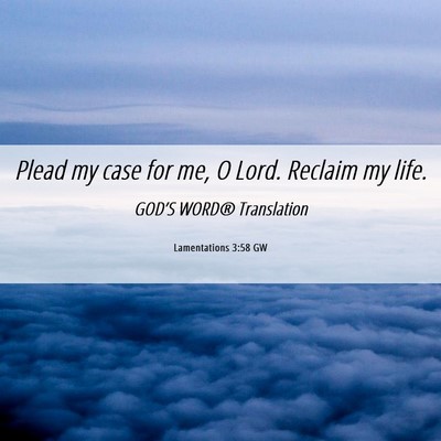 Picture 06 - Lamentations 3:58 GW - Plead my case for me, O Lord. Reclaim my - Bible Verse Picture