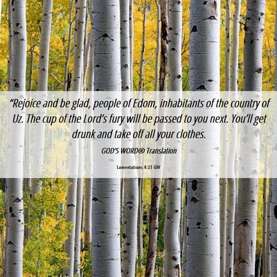 Picture 06 - Lamentations 4:21 GW - “Rejoice and be glad, people of Edom, - Bible Verse Picture