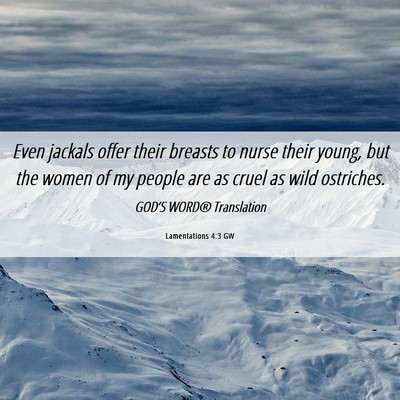 Picture 06 - Lamentations 4:3 GW - Even jackals offer their breasts to nurse their - Bible Verse Picture