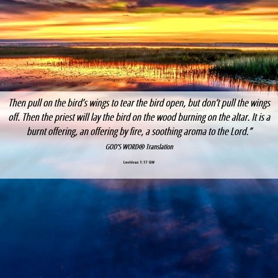 Picture 06 - Leviticus 1:17 GW - Then pull on the bird’s wings to tear the bird - Bible Verse Picture