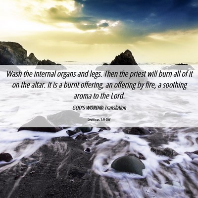 Picture 06 - Leviticus 1:9 GW - Wash the internal organs and legs. Then the - Bible Verse Picture