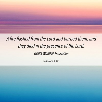 Picture 06 - Leviticus 10:2 GW - A fire flashed from the Lord and burned them, and - Bible Verse Picture