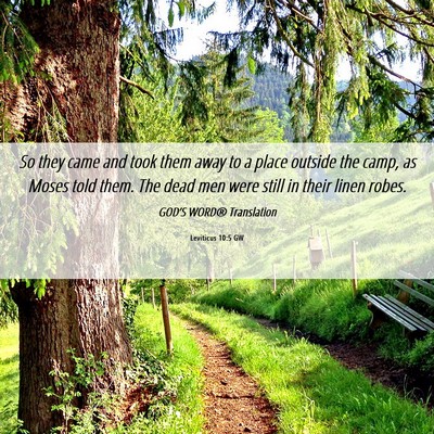 Picture 06 - Leviticus 10:5 GW - So they came and took them away to a place - Bible Verse Picture